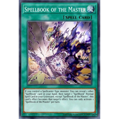 Spellbook of the Master - CBLZ-EN062 - unlimited